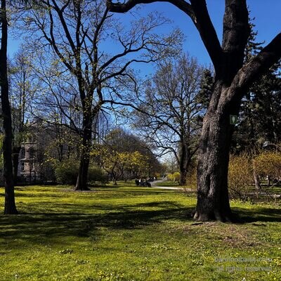 Vērmanes dārzs im fr&uuml;hen Fr&uuml;hling mit alten B&auml;umen, Riga, Lettland