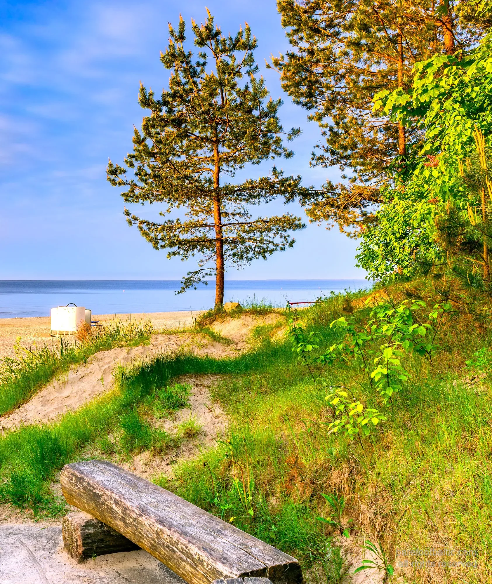 Beach Pine Bench in Jūrmala