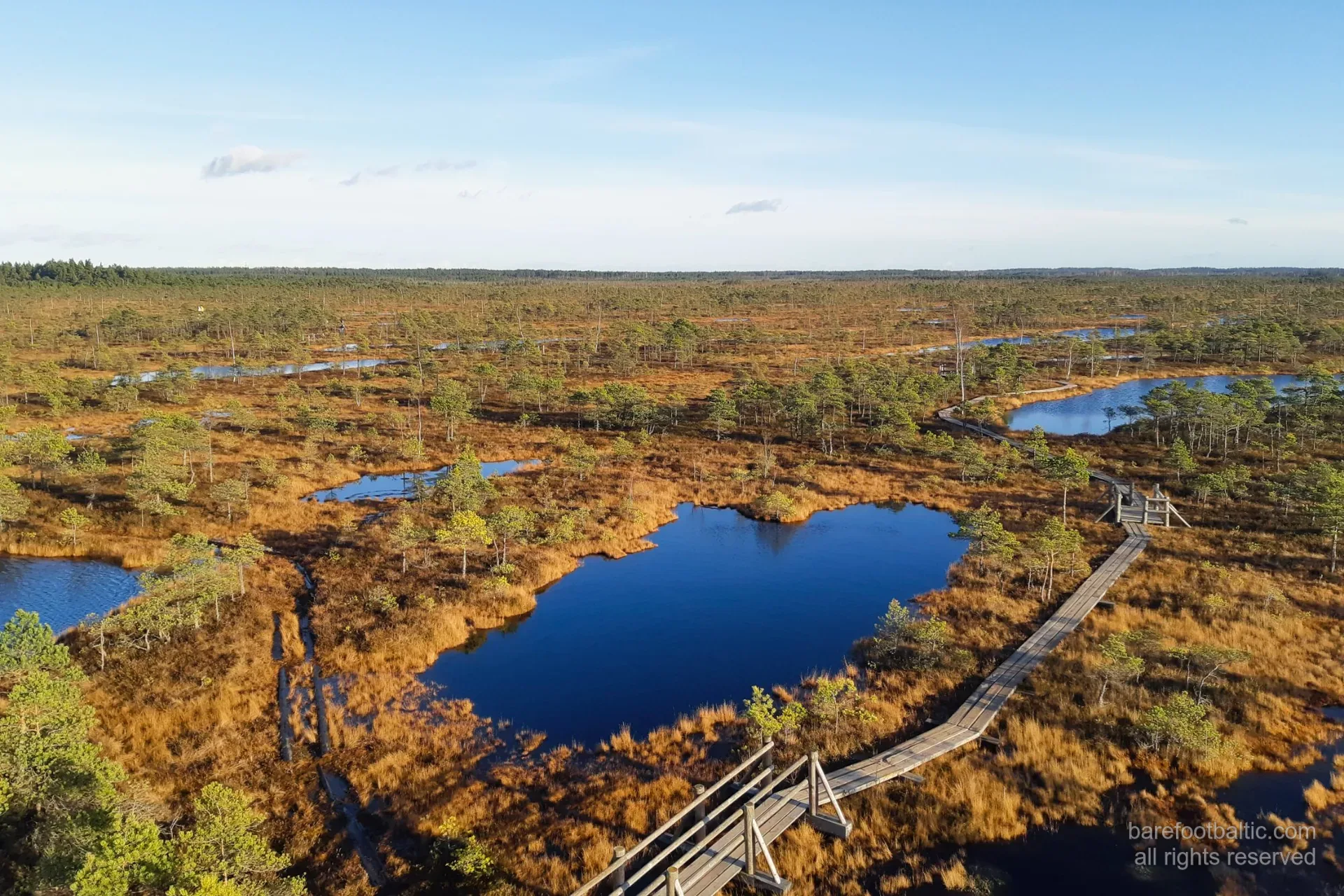 Das Große Ķemeri-Moor in Herbstfarben vom Aussichtsturm