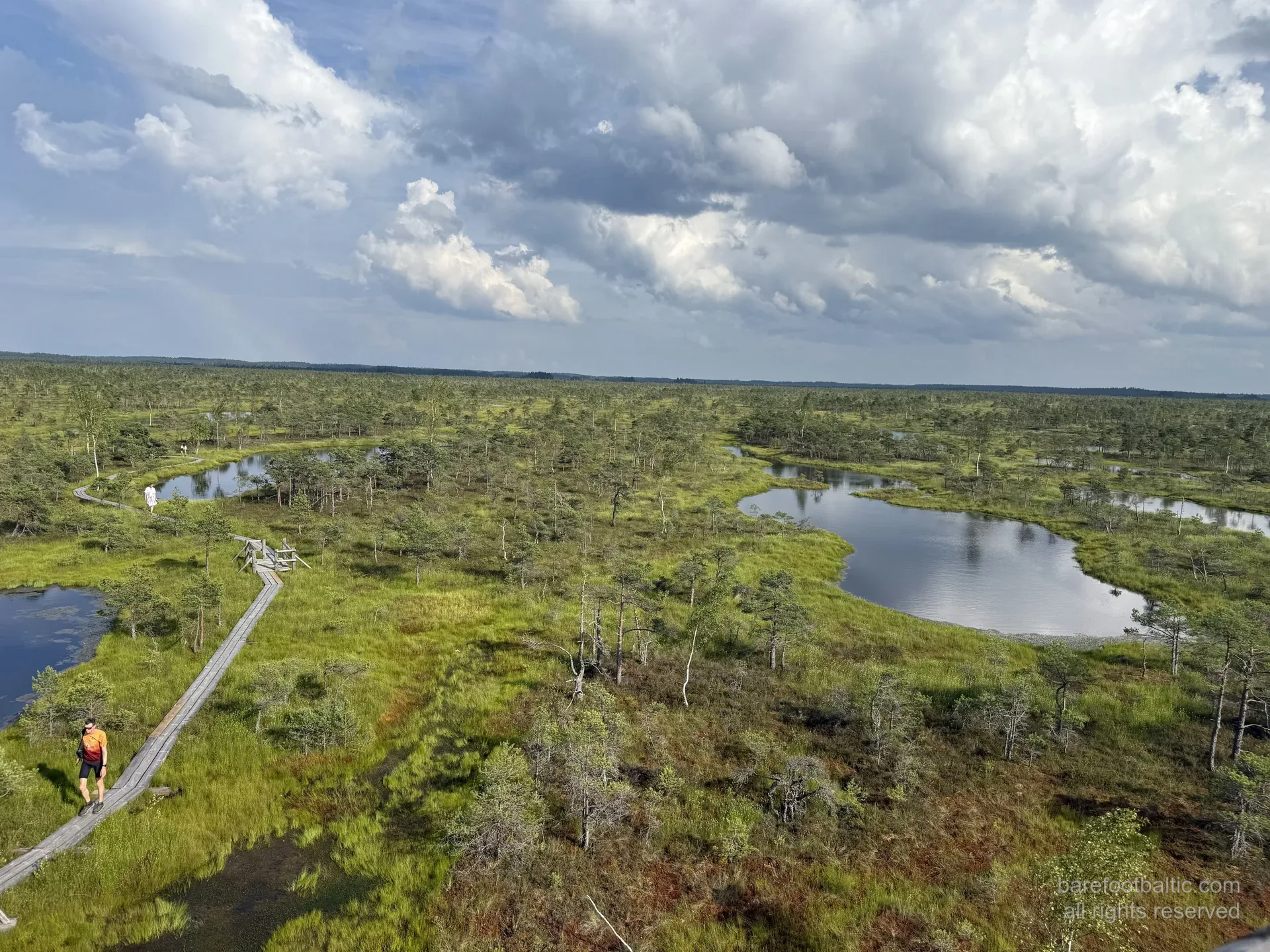 View from the Ķemeri bog watchtower across pools and dwarf pines in summer