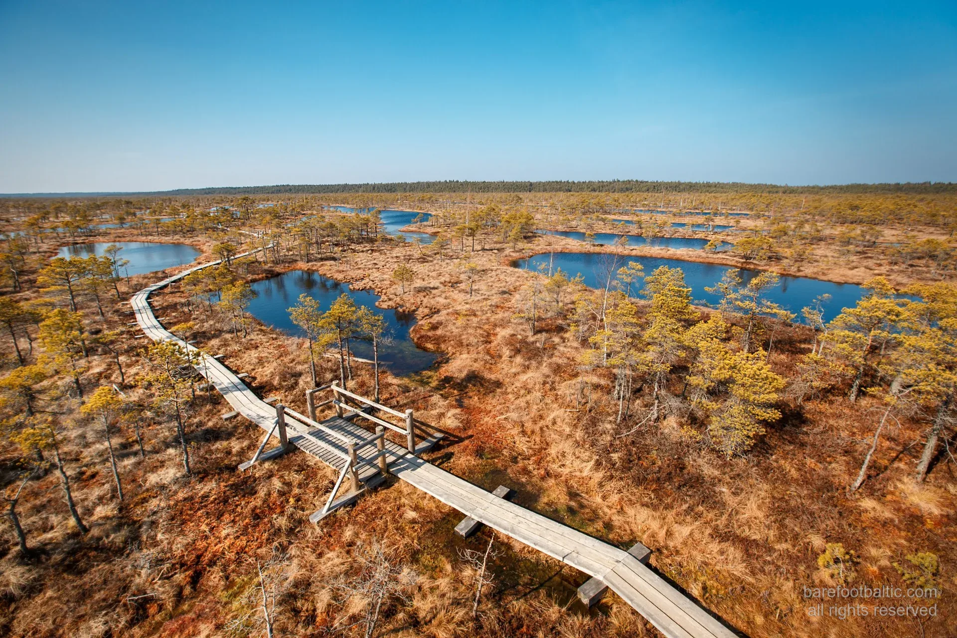 Luftaufnahme des Bohlenwegs im Großen Ķemeri-Hochmoor an spiegelglatten Mooraugen vorbei, Ķemeri-Nationalpark, Lettland