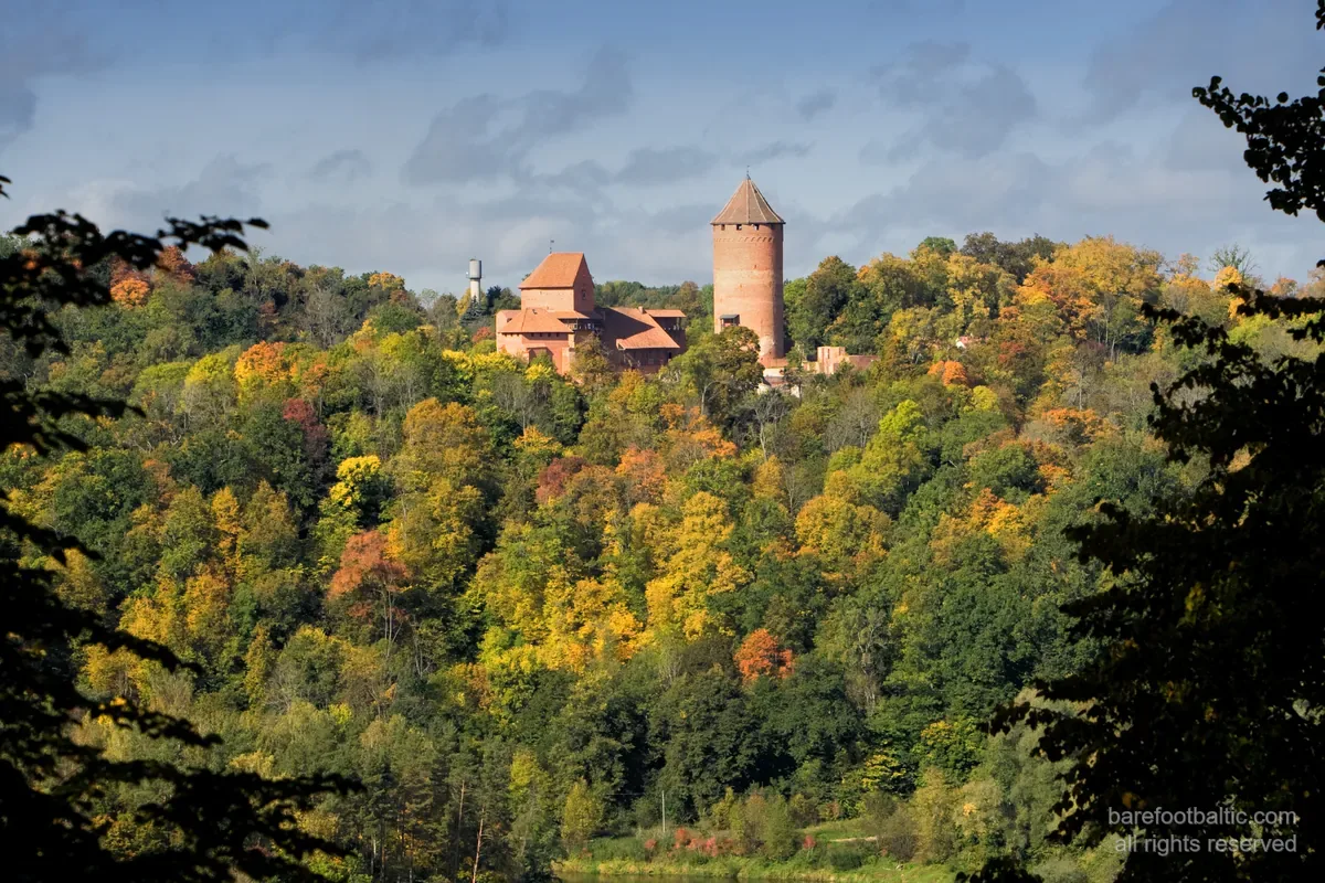 Die Ruinen der Burg Cēsis im herbstlichen Wald — die zweite Burg am Sigulda-Tag
