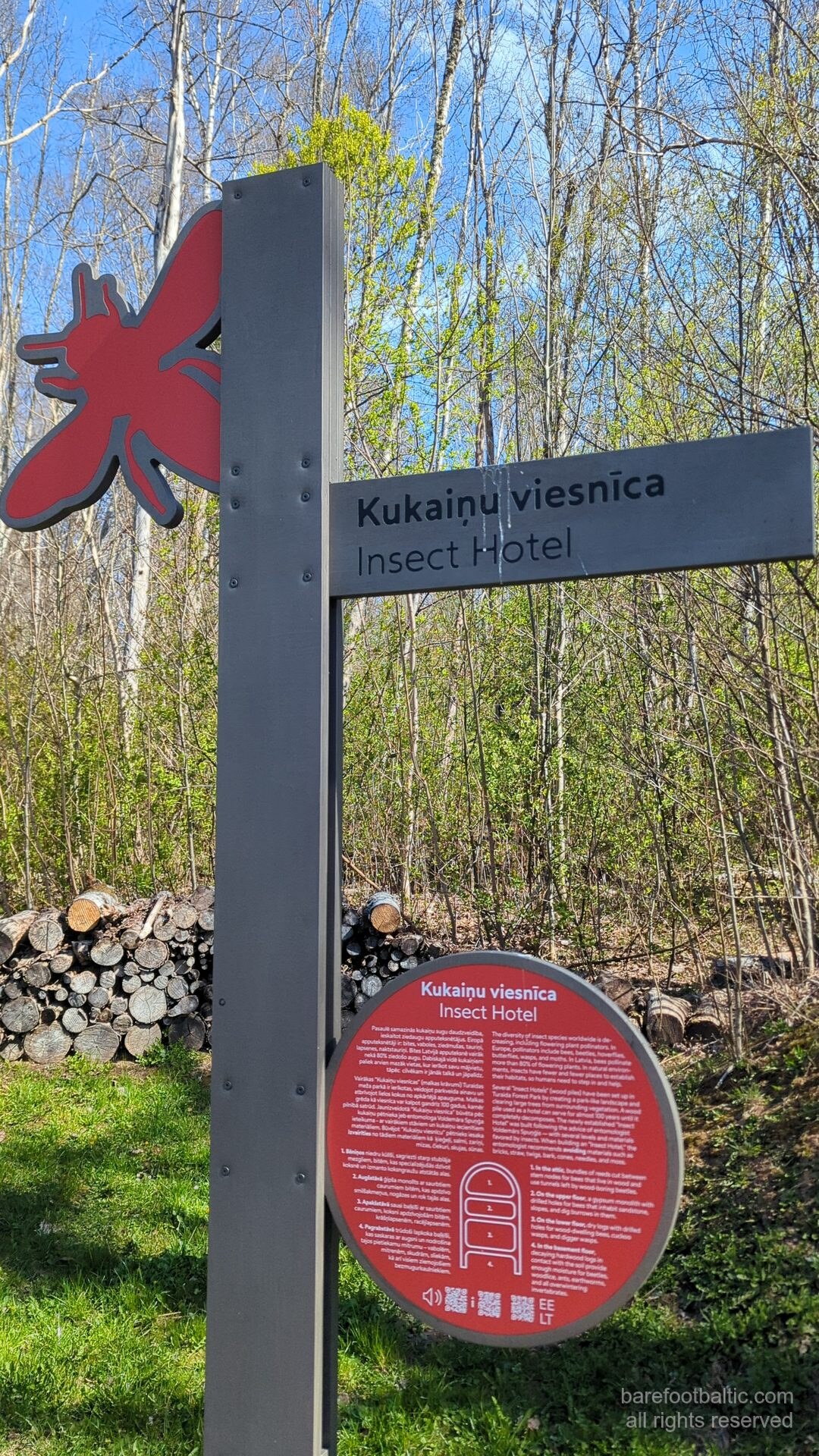 Induļa Rankas granīta skulptūra Dainu kalnā, Turaida