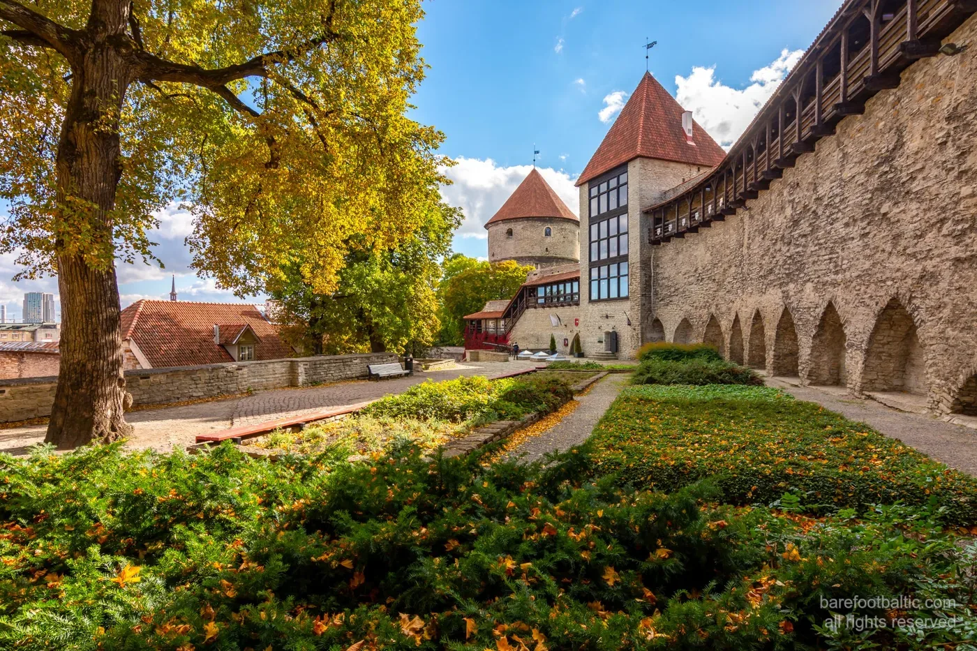 City Wall Garden Tower Autumn in Tallinn