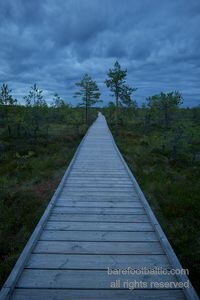 Viru Bog Boardwalk in Lahemaa