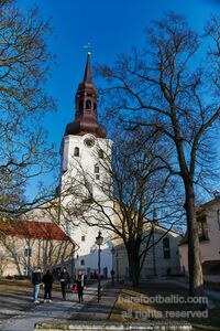 St Marys Cathedral Old Town in Tallinn