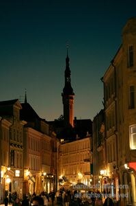 Urban Street Group Walking W in Tallinn