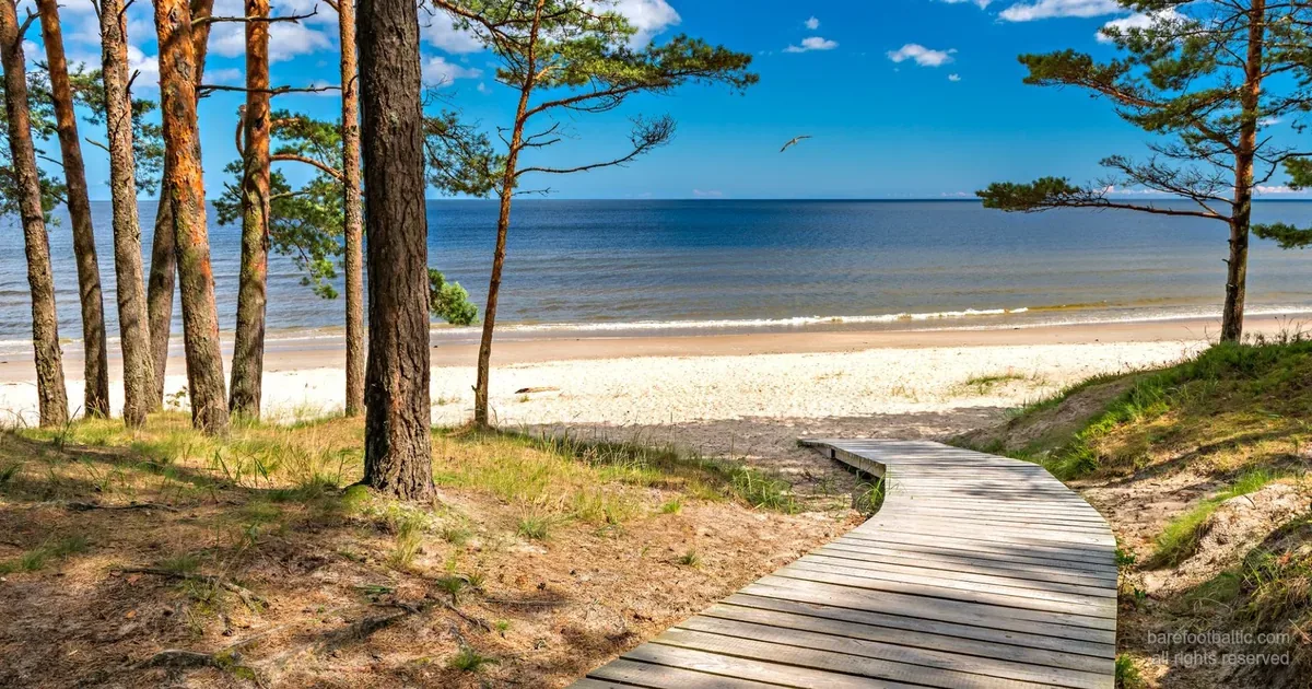 Jūrmala — Kiefernwald trifft auf weißen Quarzsand der Ostsee, 25 km von Riga.